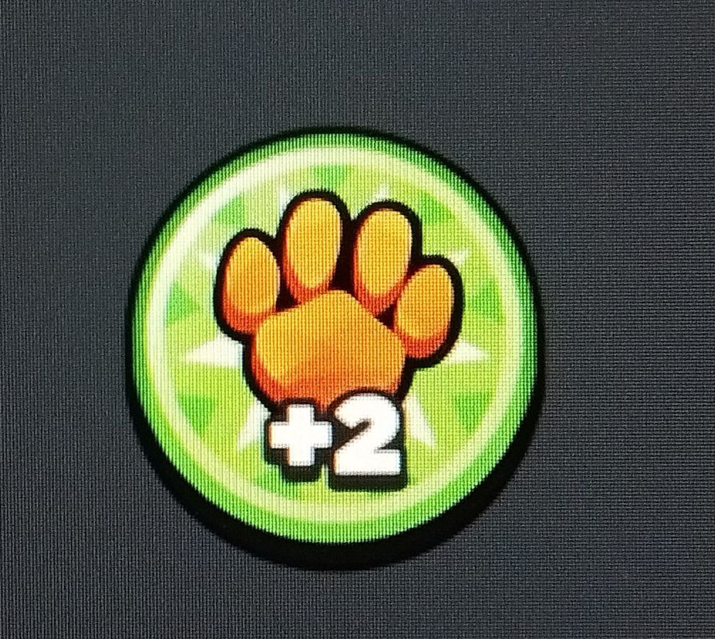 Pets +2 slots