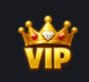 VIP 1 day