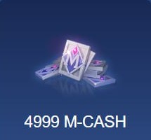 4999 M-CASH