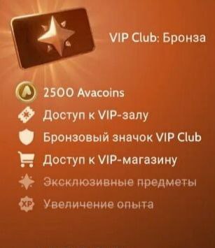 VIP Club: Бронза