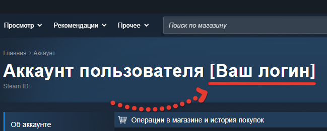 steam login screenshot