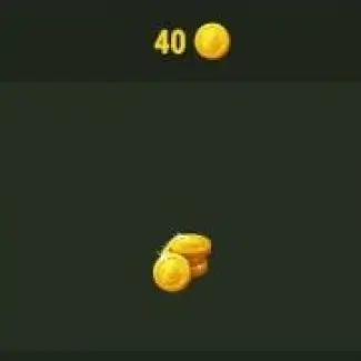 40 Coins