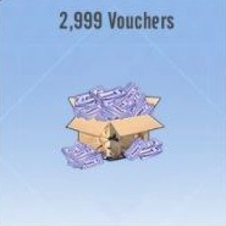 2.999 Vouchers