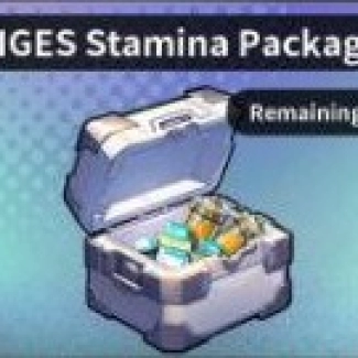 AIGES Stamina Package