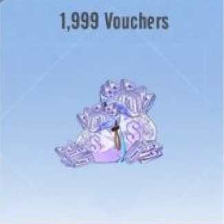 1.999 Vouchers