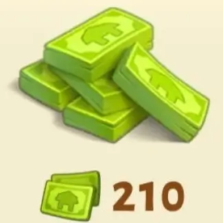 210 Cash