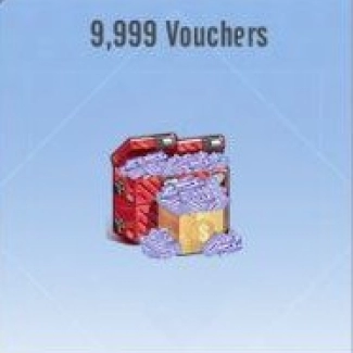 9.999 Vouchers