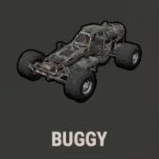 Buggy