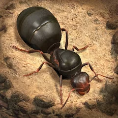 Купить Донат The Ants: Underground Kingdom