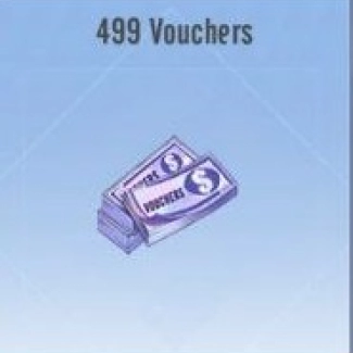 499 Vouchers